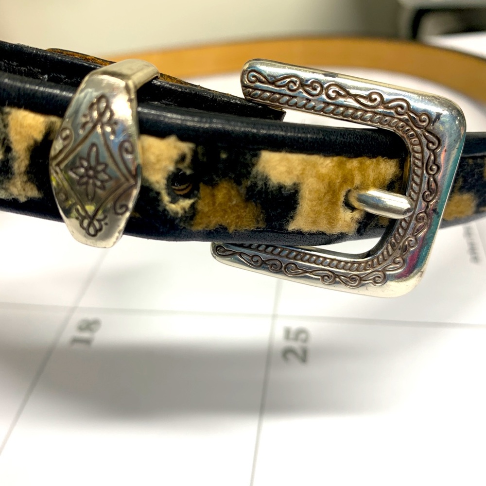 Brighton belt size 32 ML‎